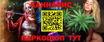 стафф Новокубанск