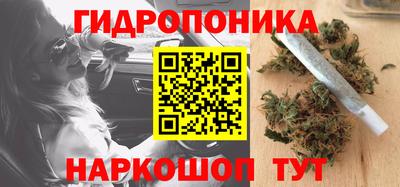 стафф Новокубанск