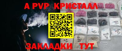 стафф Новокубанск