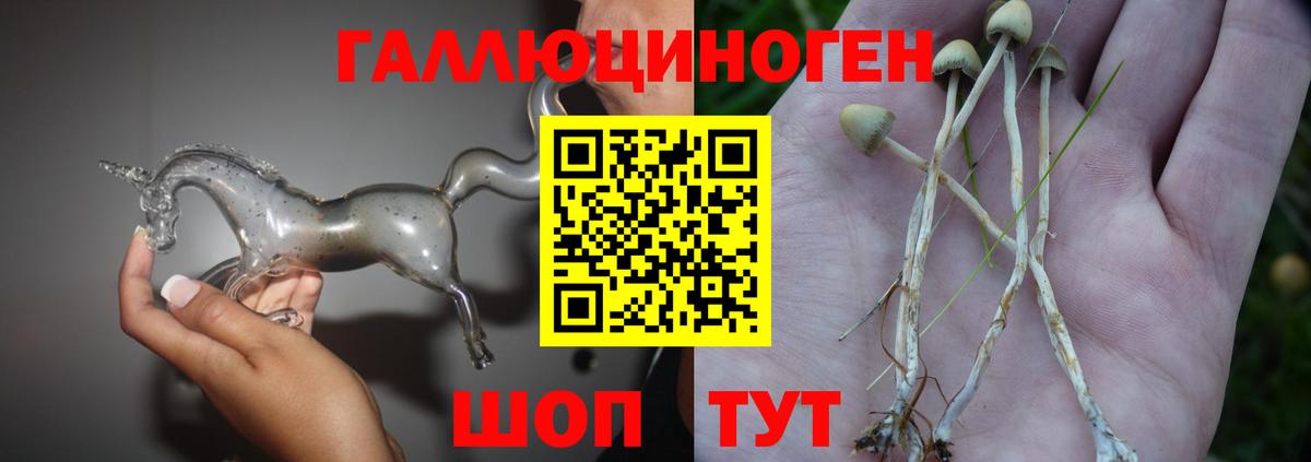 Галлюциногенные грибы мицелий  Вход с VPN  Набережные Челны 
